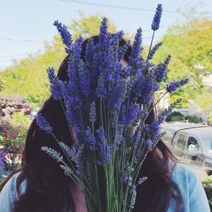 Meet your Posher, Aria